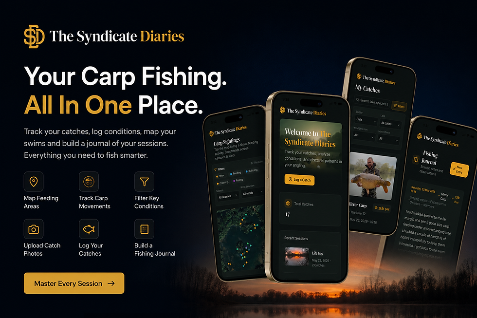 The Syndicate Diaries Ad .png