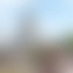 Everything we learnt as Disney World First Timers!