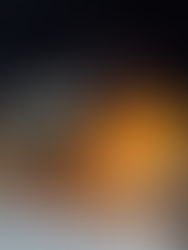 Butternut Squash Cannelloni