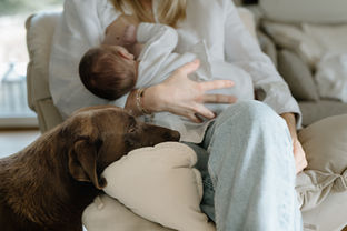 babyshooting-newbornshooting-hamburg-baby-maschapohl-fotografin-familienmomente-liebe-emotion-nähe