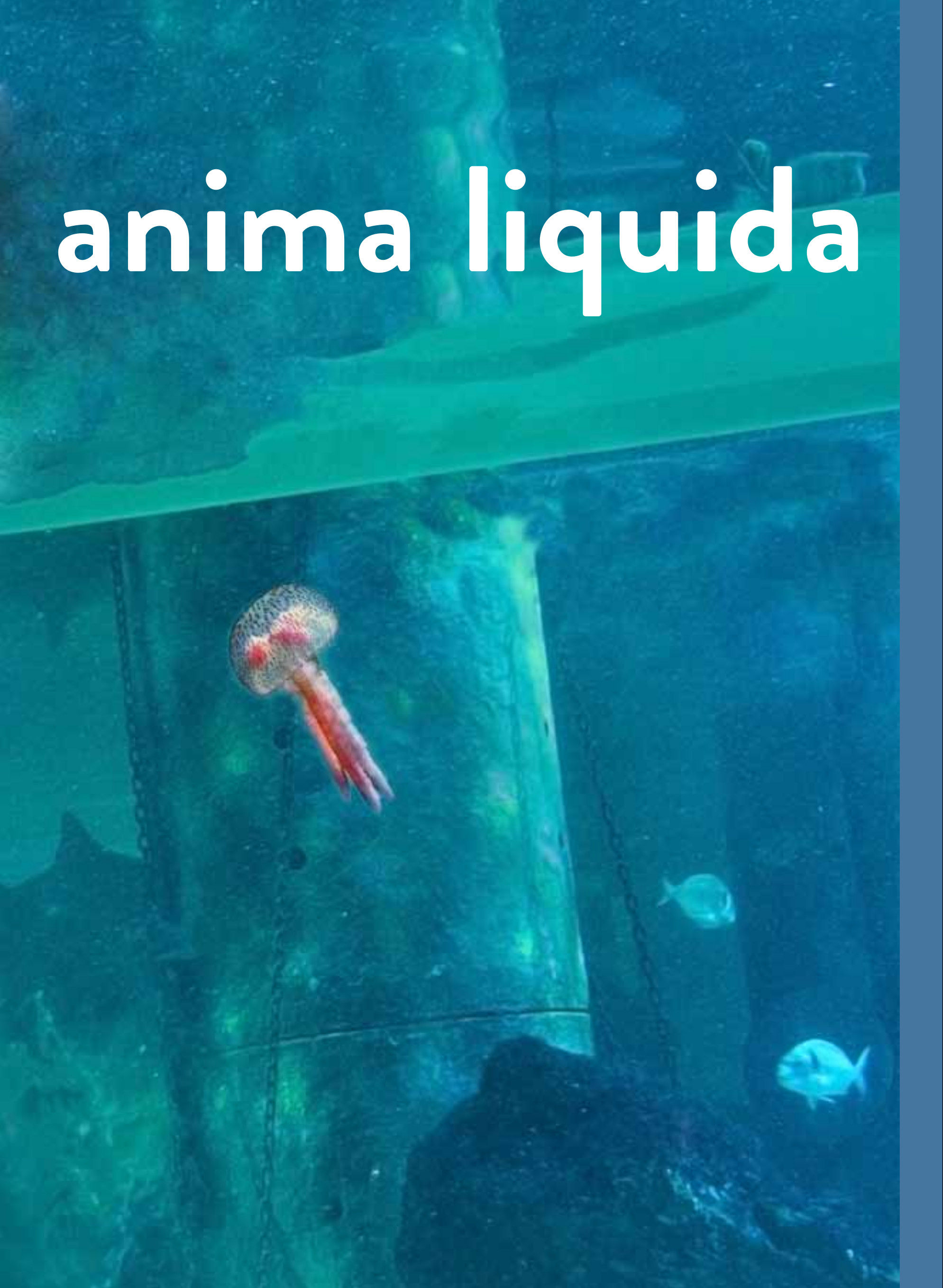 Anima Liquida