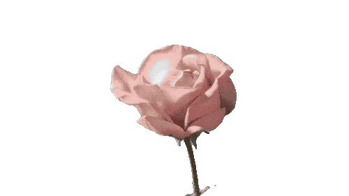 giphy-1--unscreen.gif