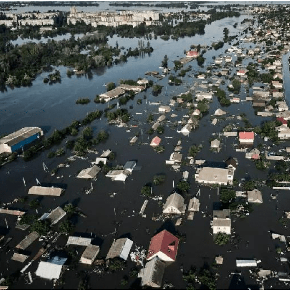 Eva choice_pg2_Untitled-design-10.png