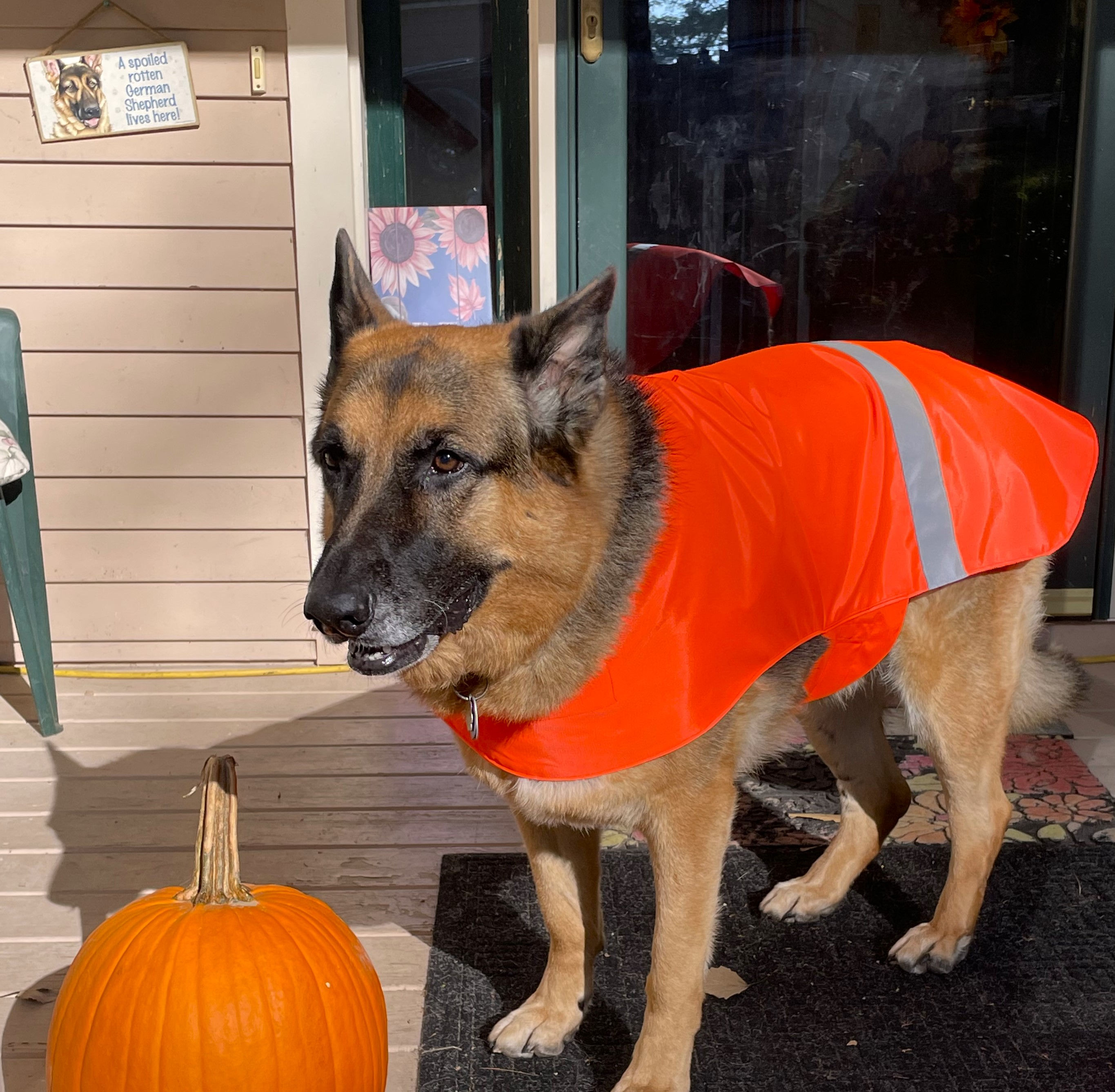 SIZE 24 (55-70LBS) REFLECTIVE WATERPROOF DOG COAT
