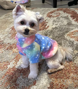 Chloe in Cotton Candy Sky Polar Fleece Pullover Size XS