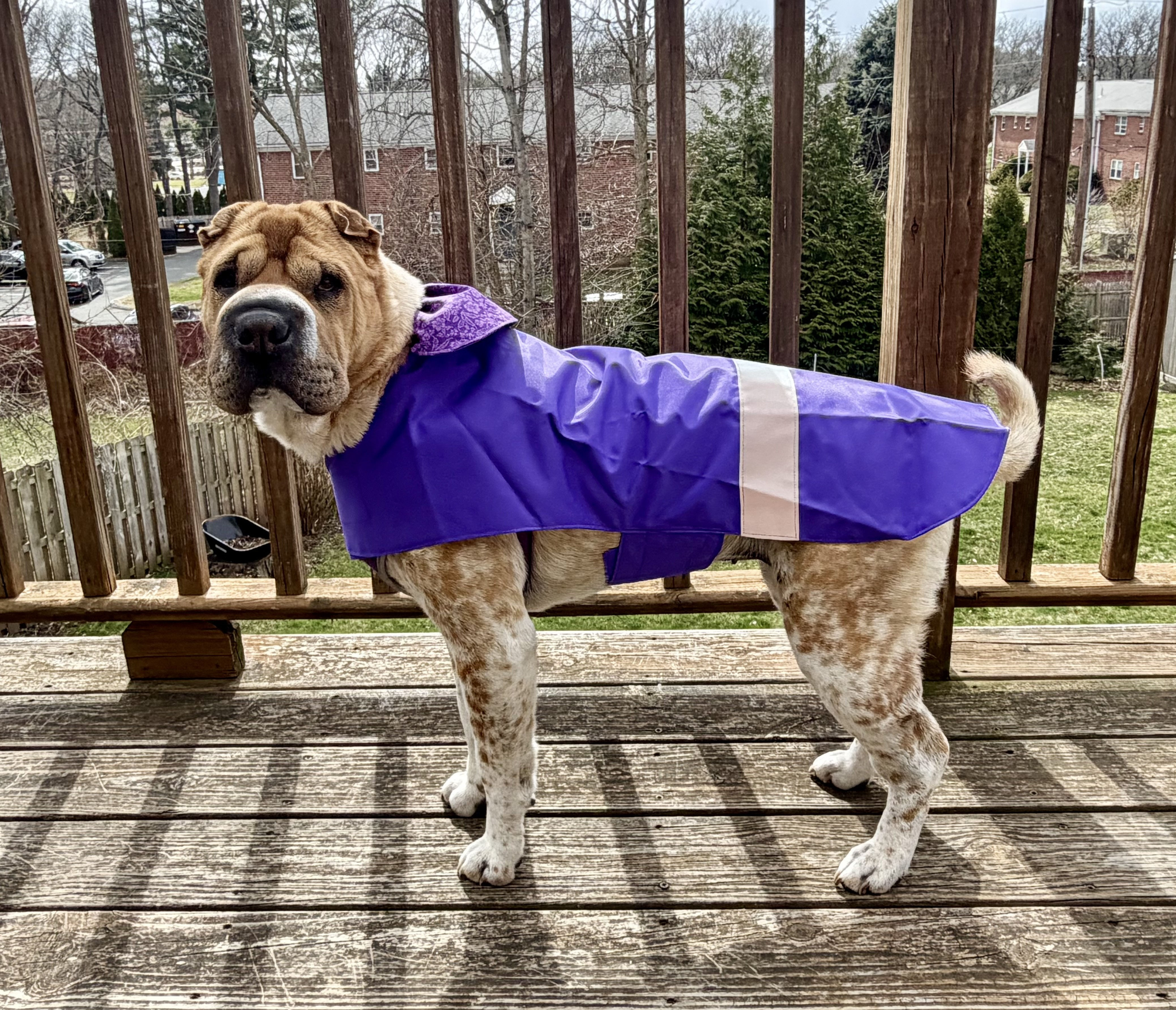 SIZE 22 (40-55LBS) REFLECTIVE WATERPROOF DOG COAT