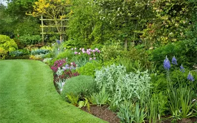 Property cleanups in Aberdeen, Aberdeenshire & North East Scotland: Time for your garden to be clean and tidy