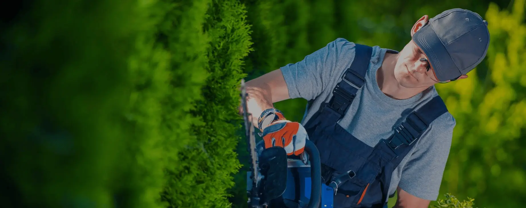 Hedge Trimming & Landscaping Services in Aberdeen, Aberdeenshire & North East Scotland: Time for your hedge to get trimmed up