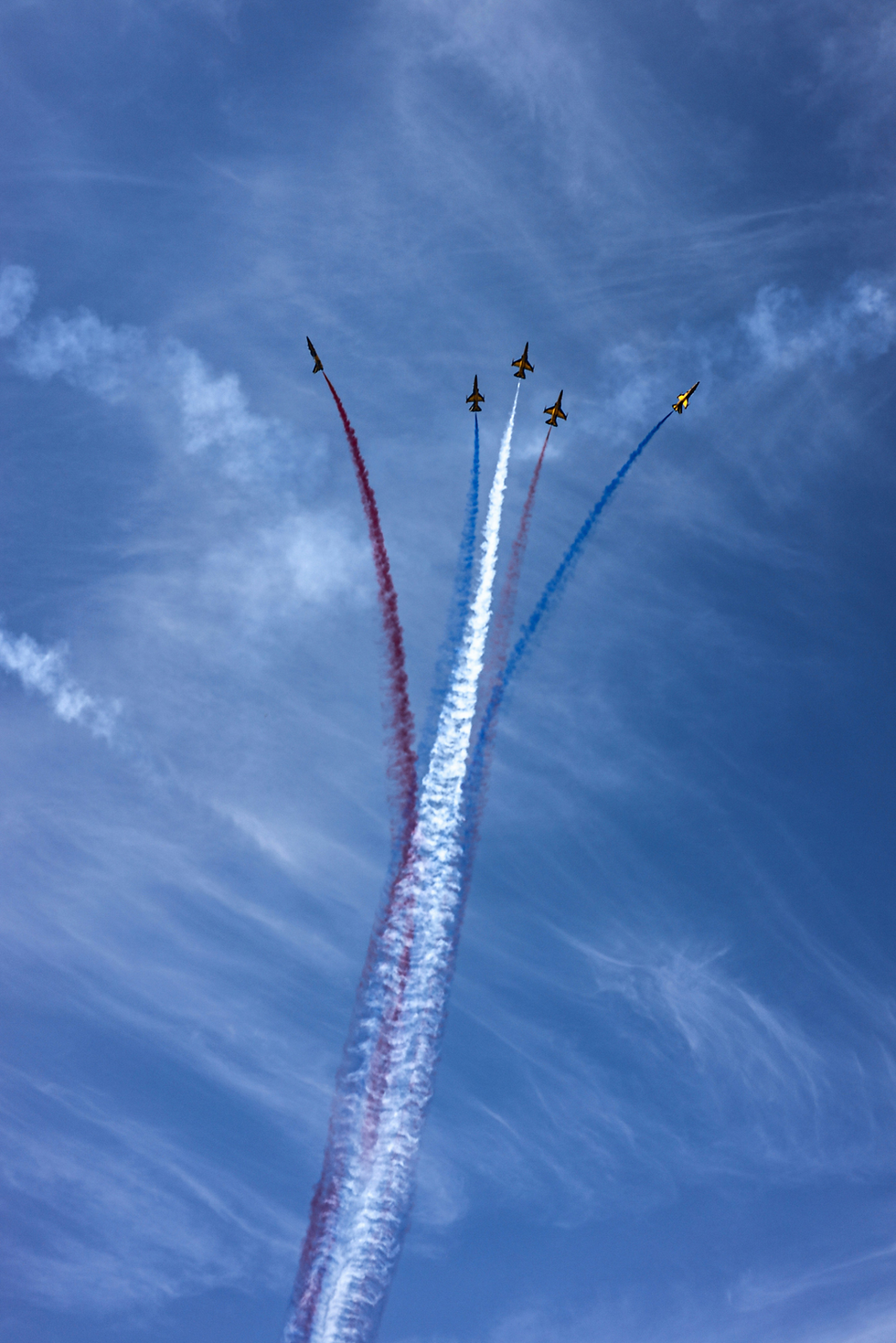 379691_5117ea34d31e410abd5253c727c1b99e~mv2-Adjust.png
