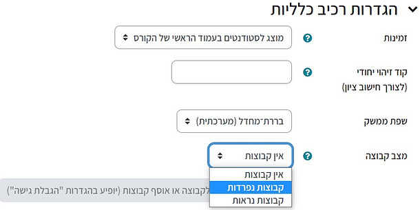 הודעות מרצה-הגדרות כלליות קבוצות נפרדות.jpg