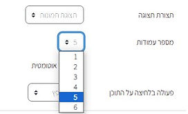 עמודות.jpg