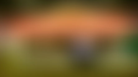 One Festival to Rule Them All