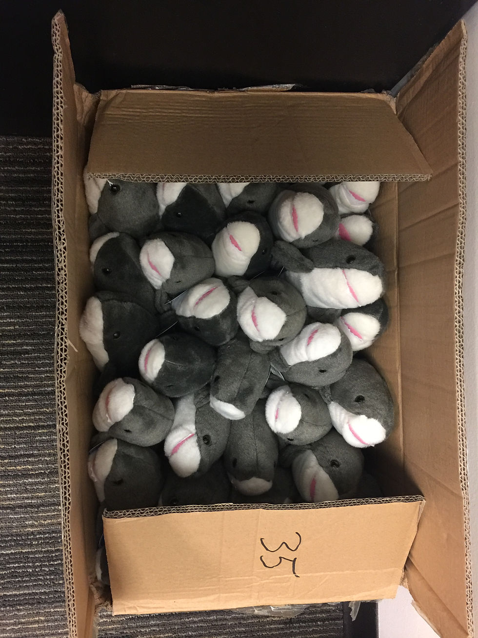 Step 2: put some sharks in that box