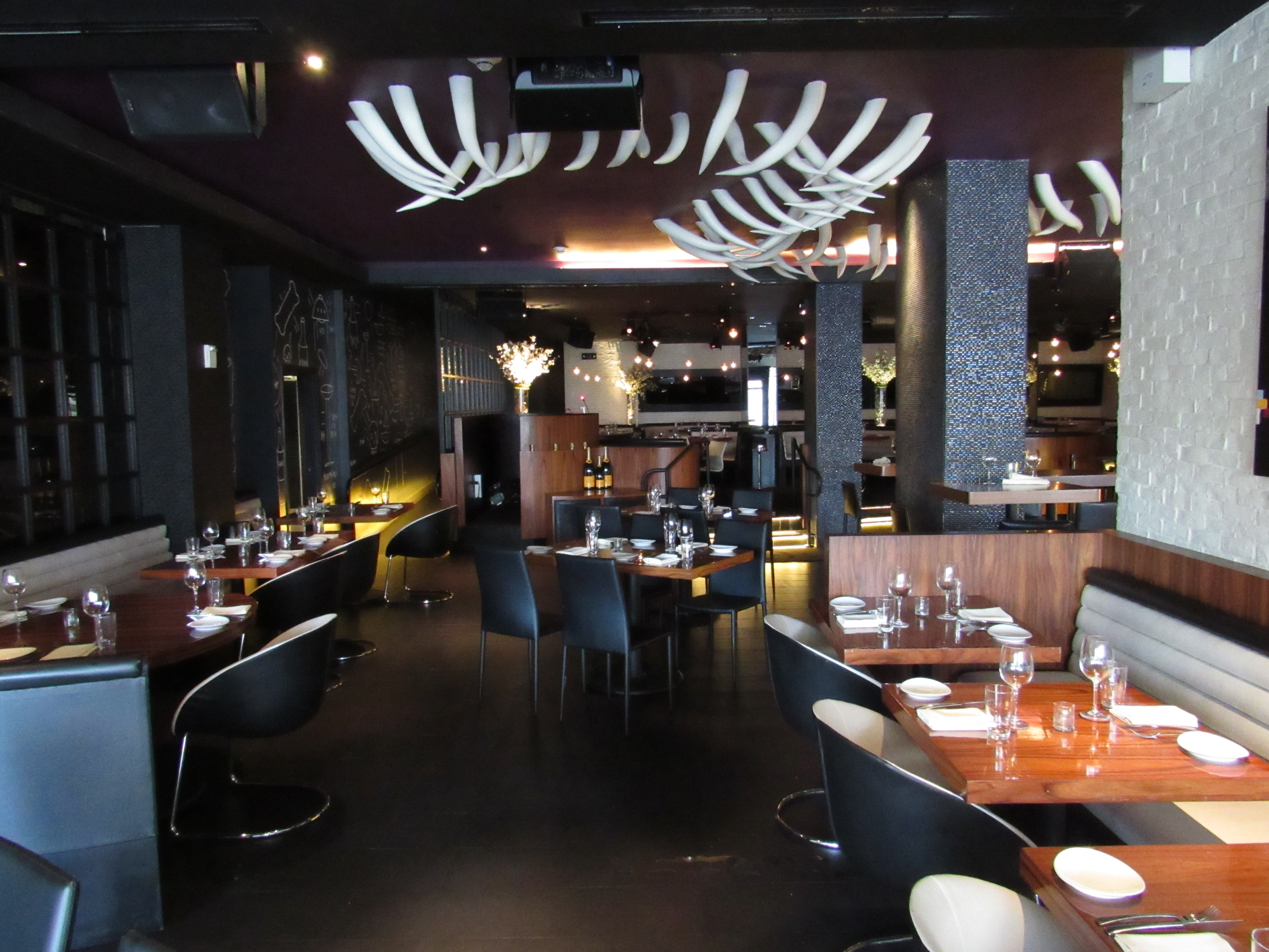 STK South Beach Crazy About Miami