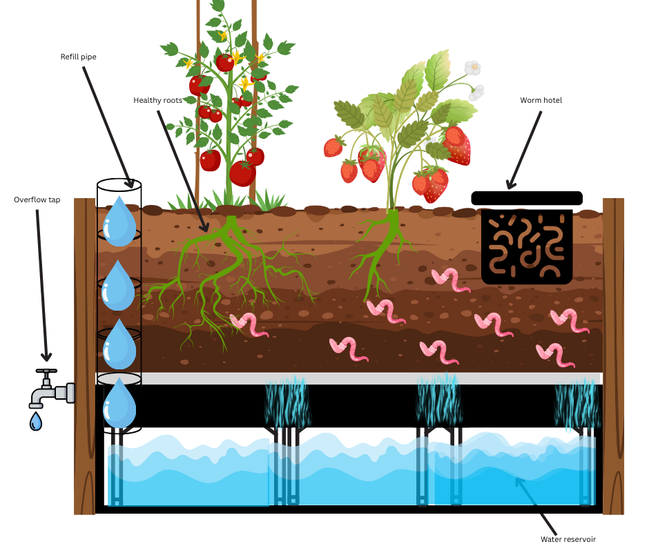 Seasonal Planting Guide for NSW: Best Fruits & Vegetables to Grow Year-Round in Your Wicking Bed