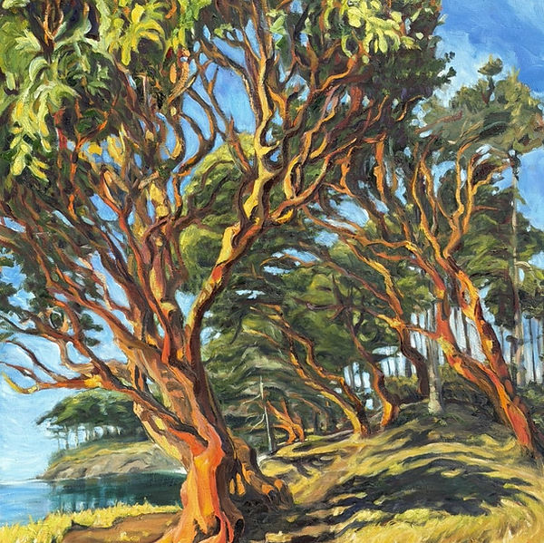 Lorna_magnificant madronas 68 x 55, $7400.jpg
