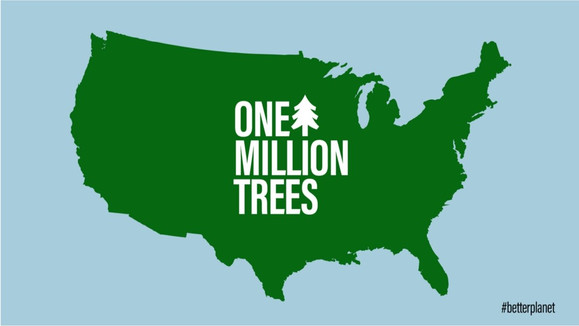Green Partnerships, the New Marketing Normal