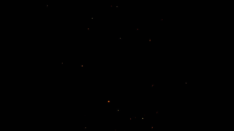 299593.mp4