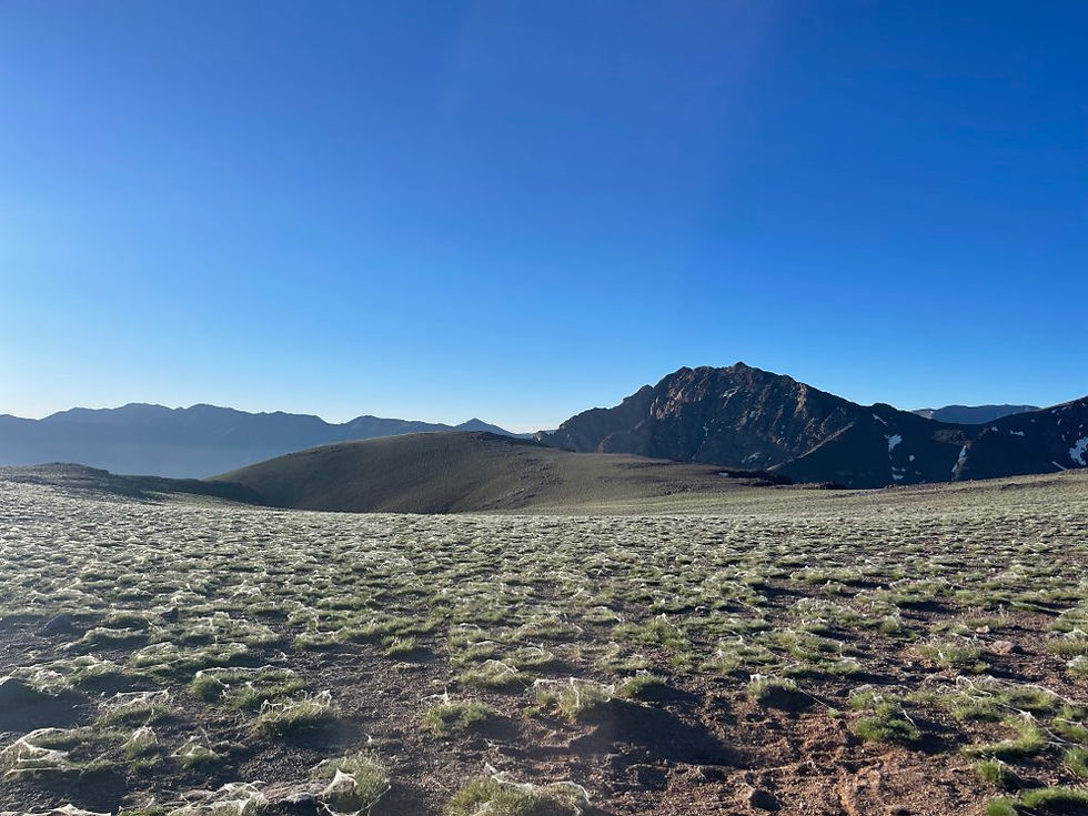 Three Days of Wild Backpacking in the Hidden High Atlas Mountains: Angour Plateau and Anrhemer Summit
