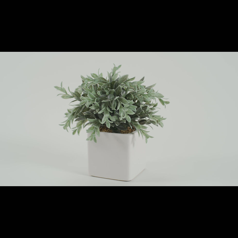 Thumbnail: Pull Out - Horizontal - Light Background