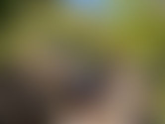 Trail Running in the Atlas Mountains: Conquer Toubkal Summit & High Berber Passes