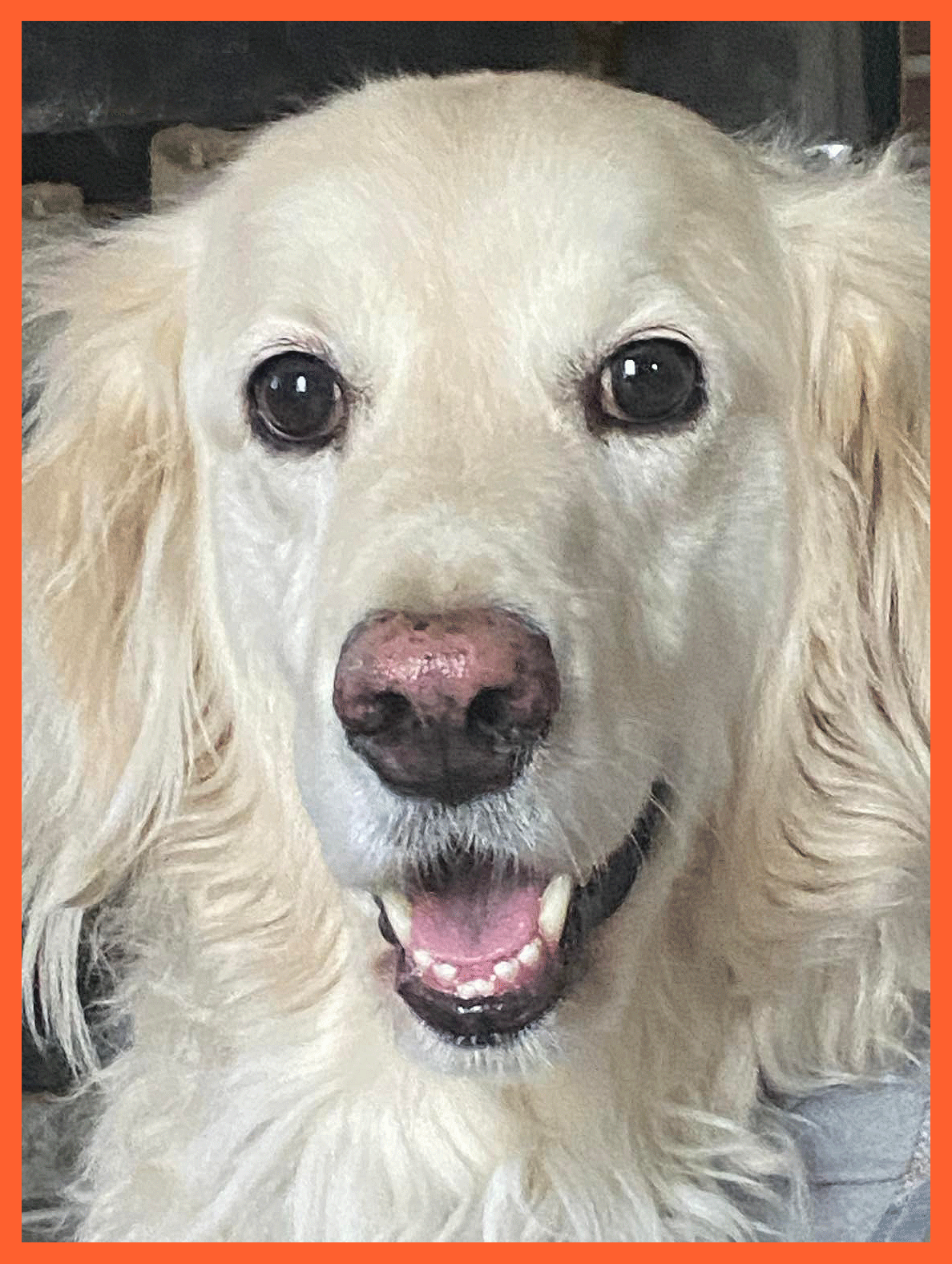 Max