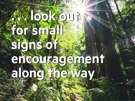 It’s all about vision