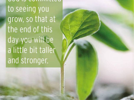 A growing seed