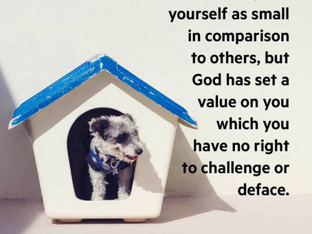 Bearing God’s image