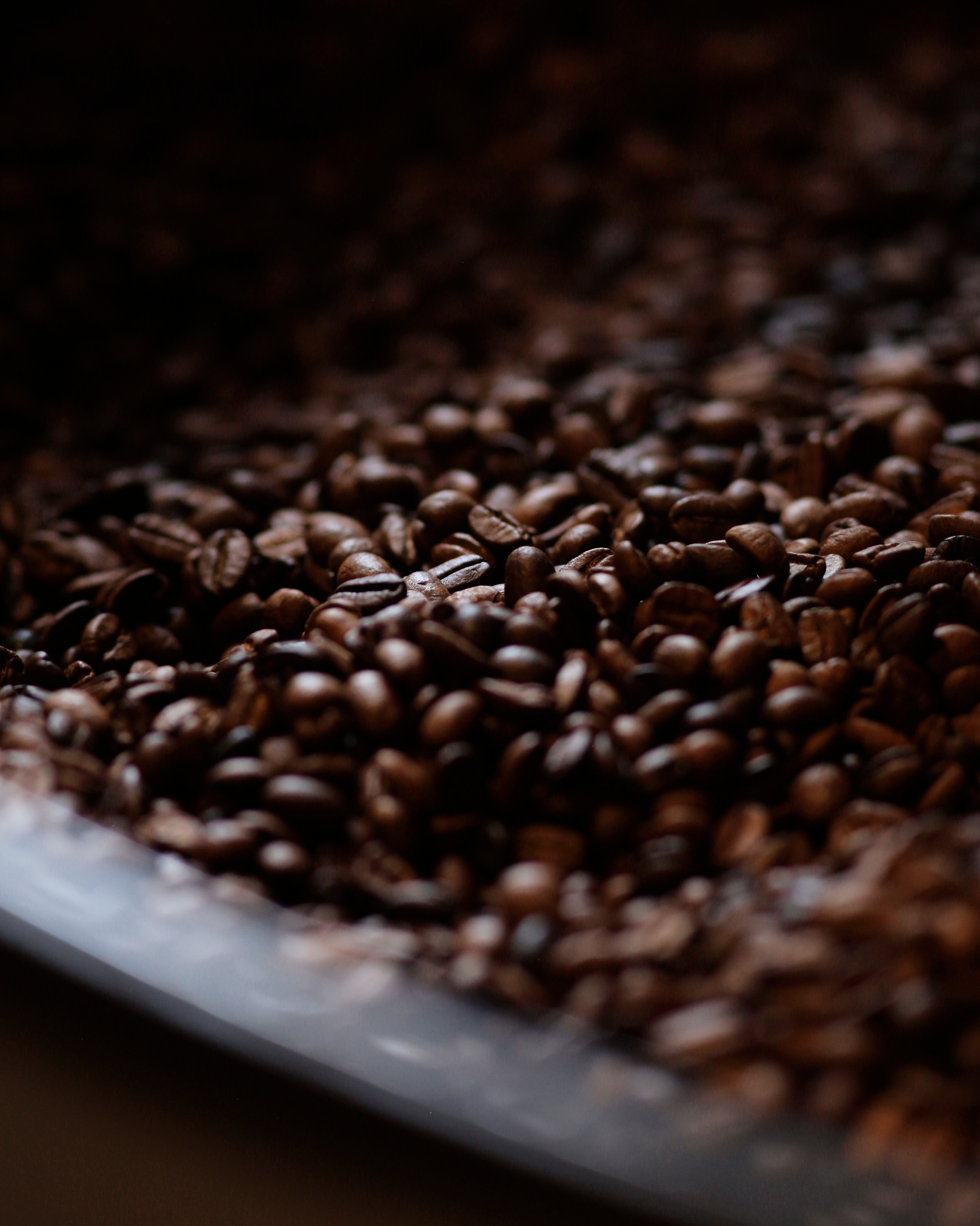 Café de altura Coatepec Artesanal 450 gr.