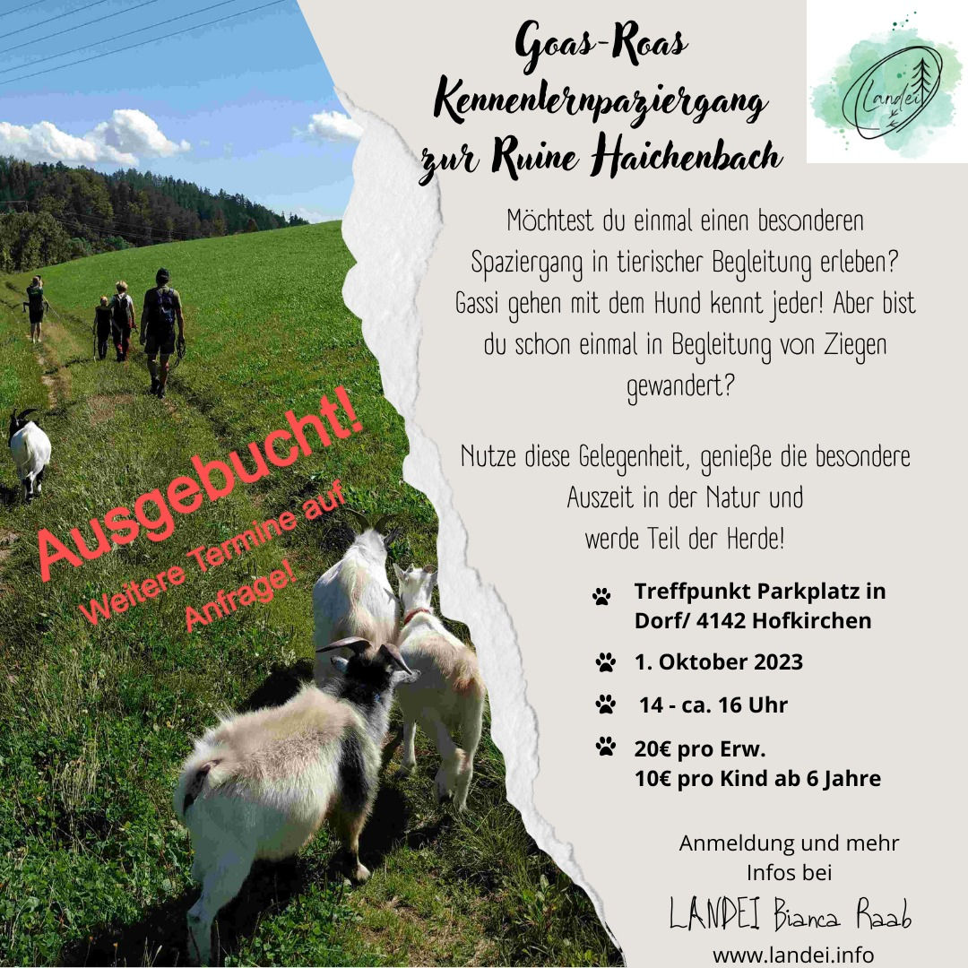 Goas-Roas Kennenlernspaziergang zur Ruine Haichenbach - ERWACHSENENANGEBOT