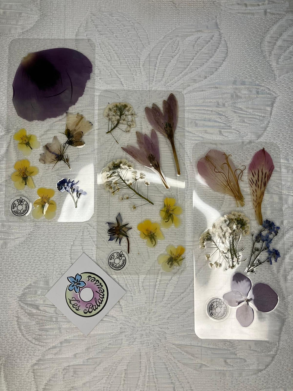 Lot de 3 Marque-pages fleuris à l'unité - 10, marque-pages avec fleurs séchées et motifs