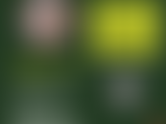 Teaching Informational Text Using the Science of Reading Event at Portland State University