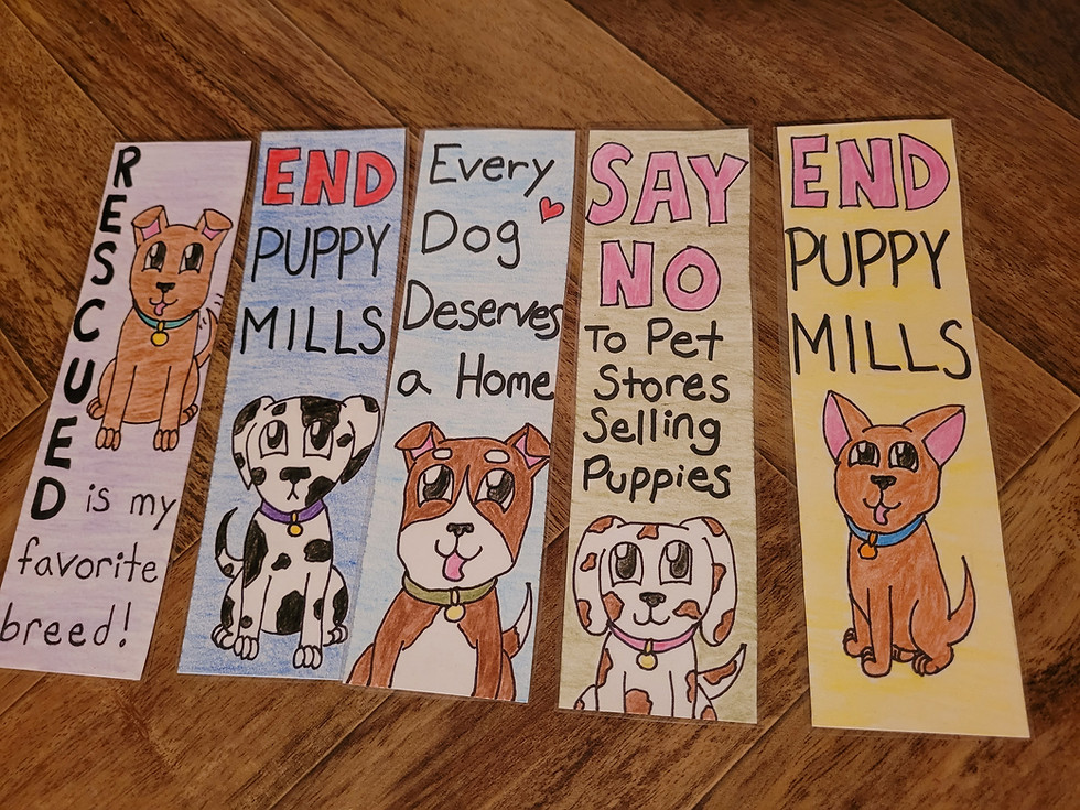 Thumbnail: "Save Our Dogs" Paperback