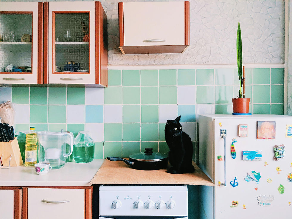 black cat hanging out in colorful kitchen