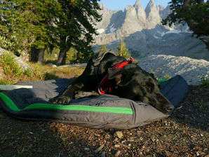 7 Best Waterproof Dog Bed Options for Outdoor Adventures