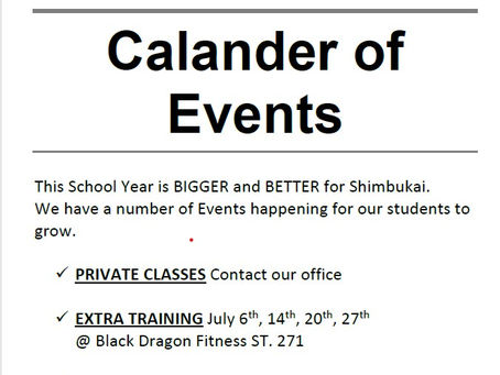 Shimbun July 2025 #19