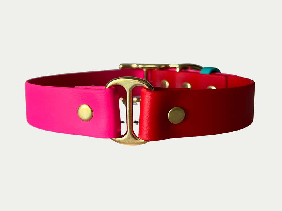 Thumbnail: The Zoë Collar | ILIZA