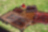 DSC03675.JPG