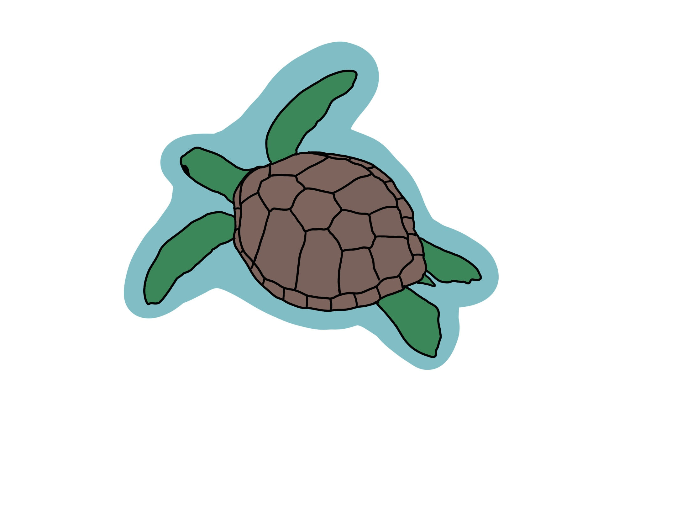 Turtle