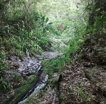 ensaio_sobre_água_-_imagem.jpg