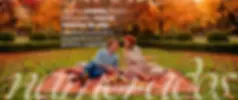 Banner-Site-1905x800-_1_.webp