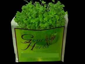 New Product_14/09/2020 - Green Living Herbs