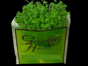 New Product_14/09/2020 - Green Living Herbs
