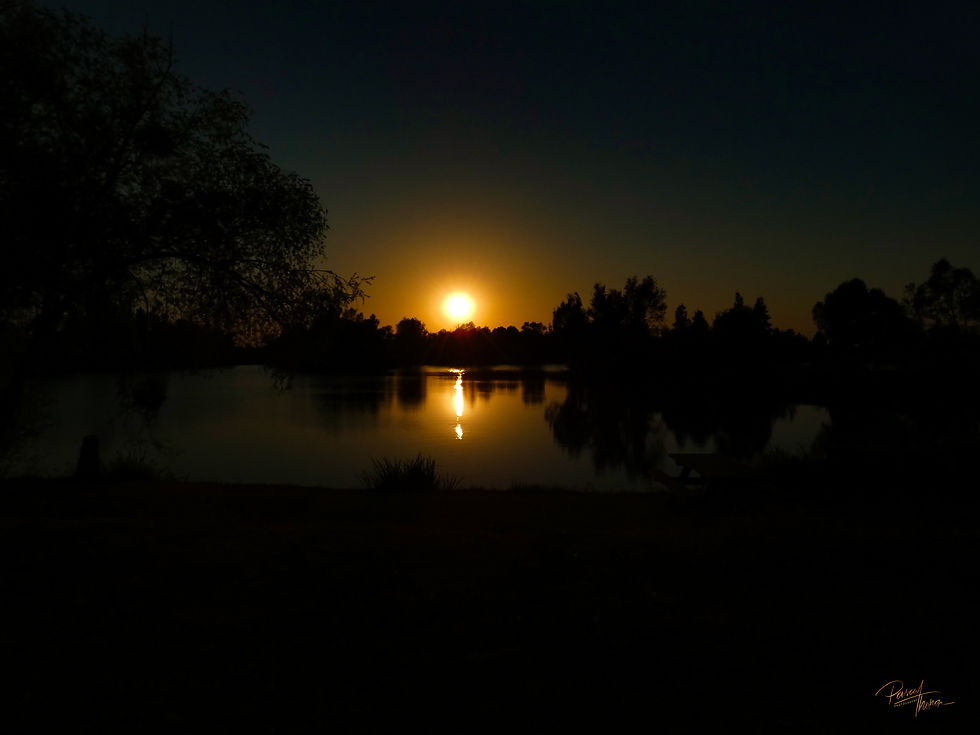 ECLIPSE SOLAIRE