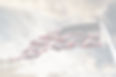 American Flag_edited.jpg