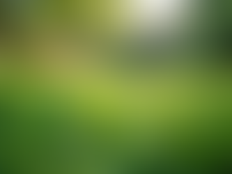 Holistic Lifestyle Essentials for Vibrant Living