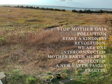Earth Day 911