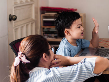 How will the Children’s wellbeing bill affect your right to home educate? 