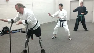 Pinan 2 prosthetics.webp